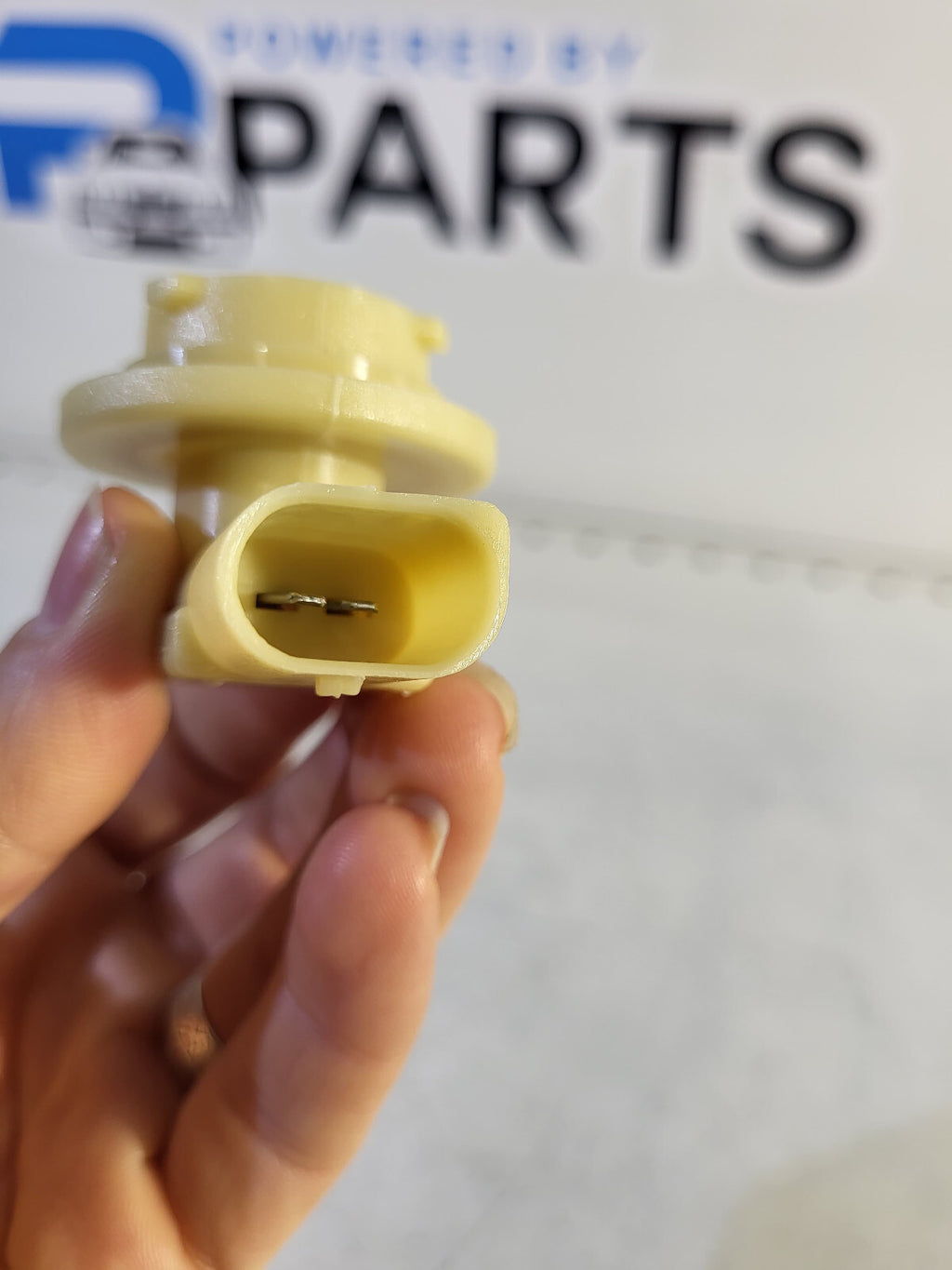 BMW E46 PFL Bulb socket 1pc 63138380211