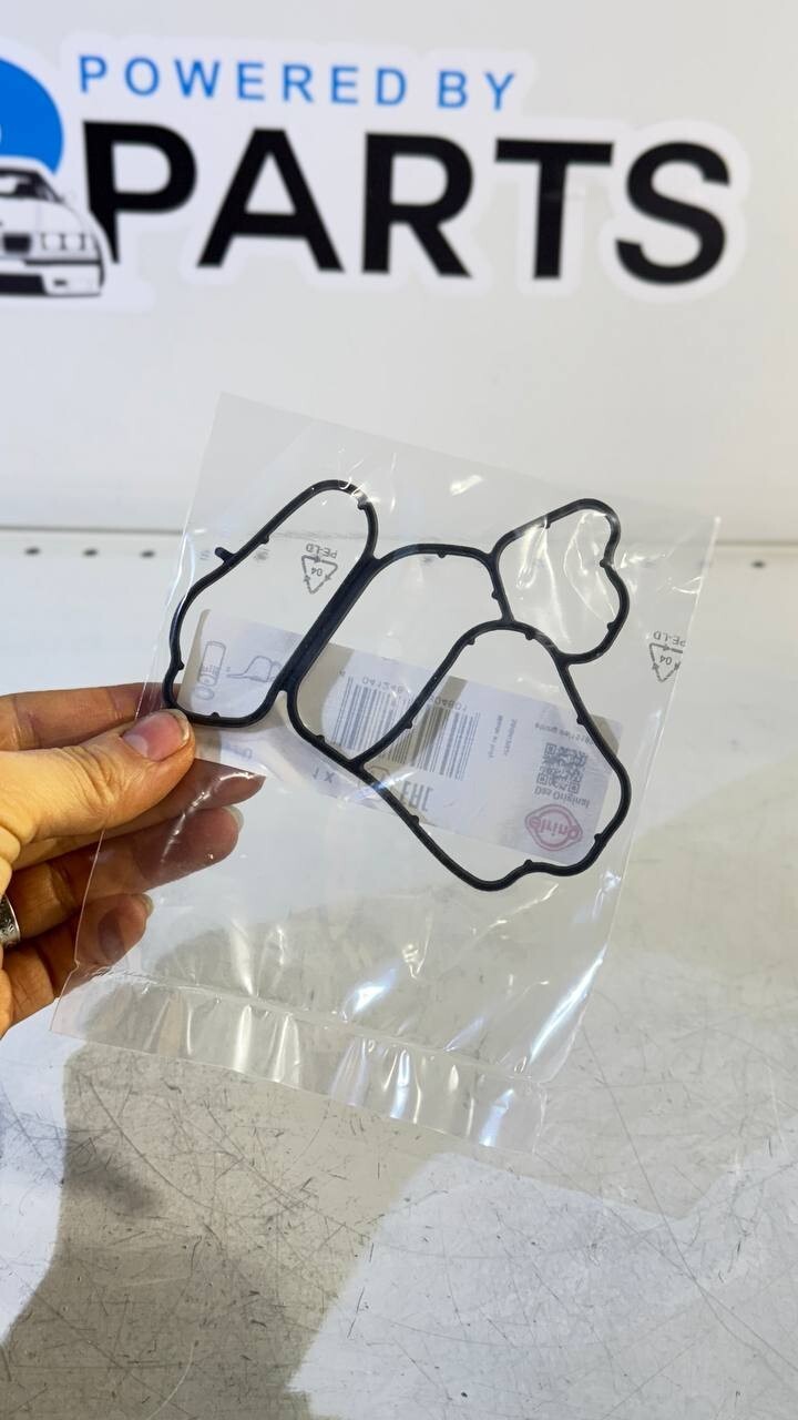 BMW Profile - Gasket (Elring) 151.970 11427788455