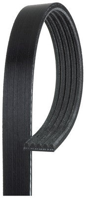 Gates 5PK810 V-Ribbed Belt 64557786170