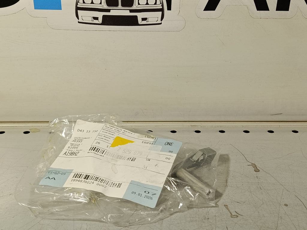 BMW Gear shifting Bolt 25117529079
