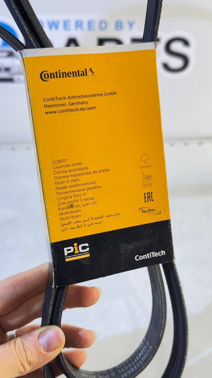 BMW E39, E46 Ribbed V-Belt (Continental) 5PK2030 11282247191