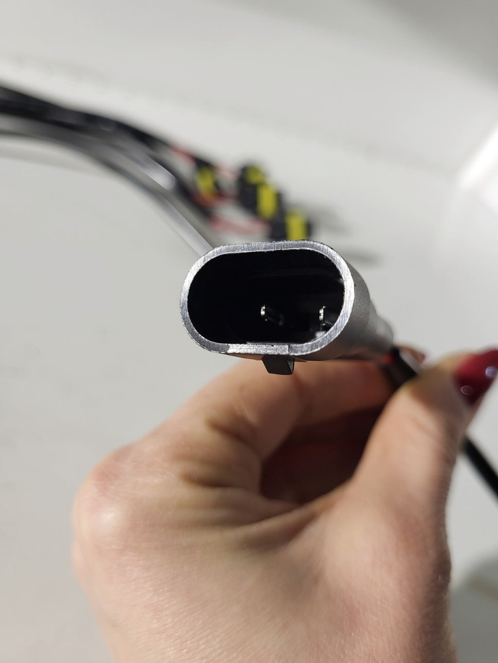 Adaptor wiring from HB4 to H11  1 psc