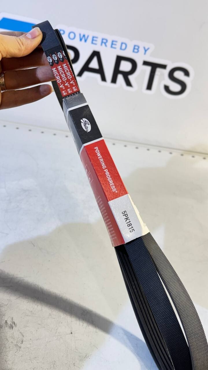 BMW E34, E36, E39 Ribbed V-Belt (Gates) 5PK1815 11282244179