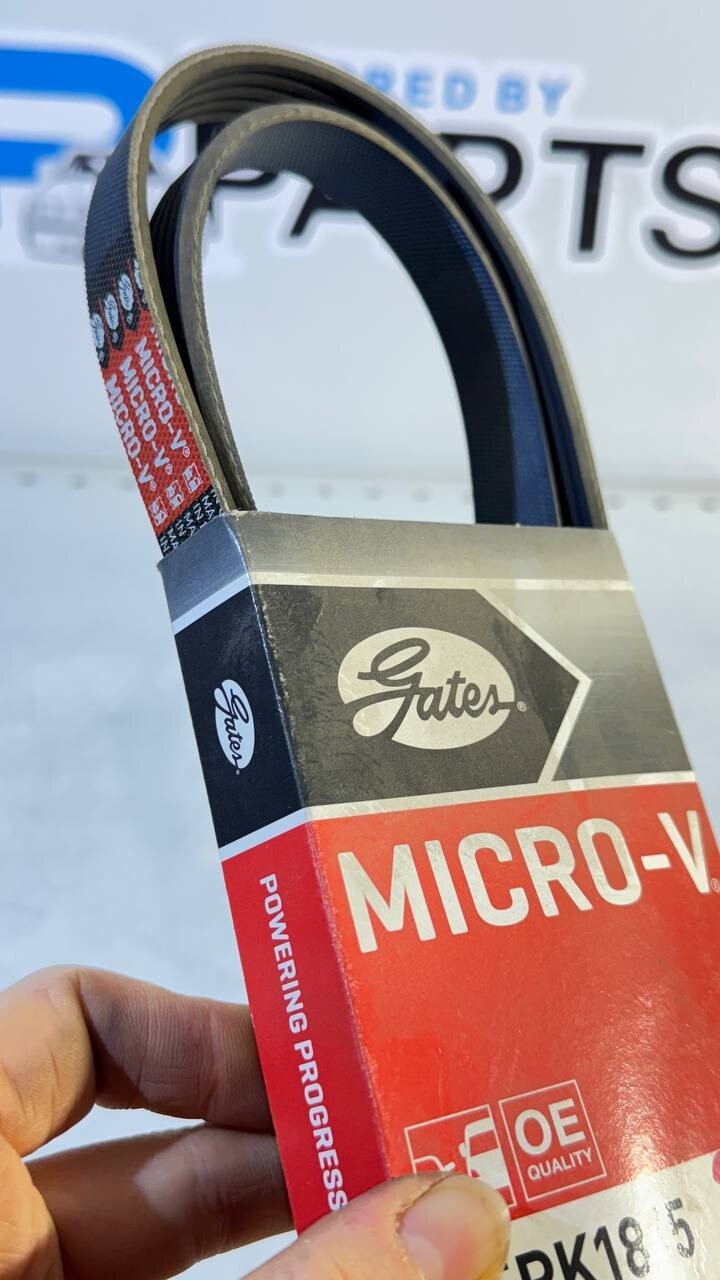 BMW E34, E36, E39 Ribbed V-Belt (Gates) 5PK1815 11282244179