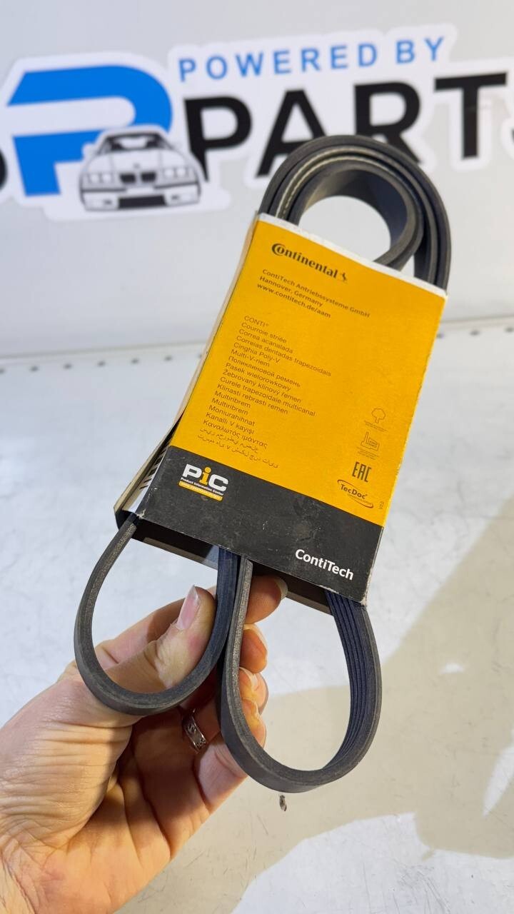 BMW E34, E36, E39 Ribbed V-Belt (Continental) 5PK1815 11282244179