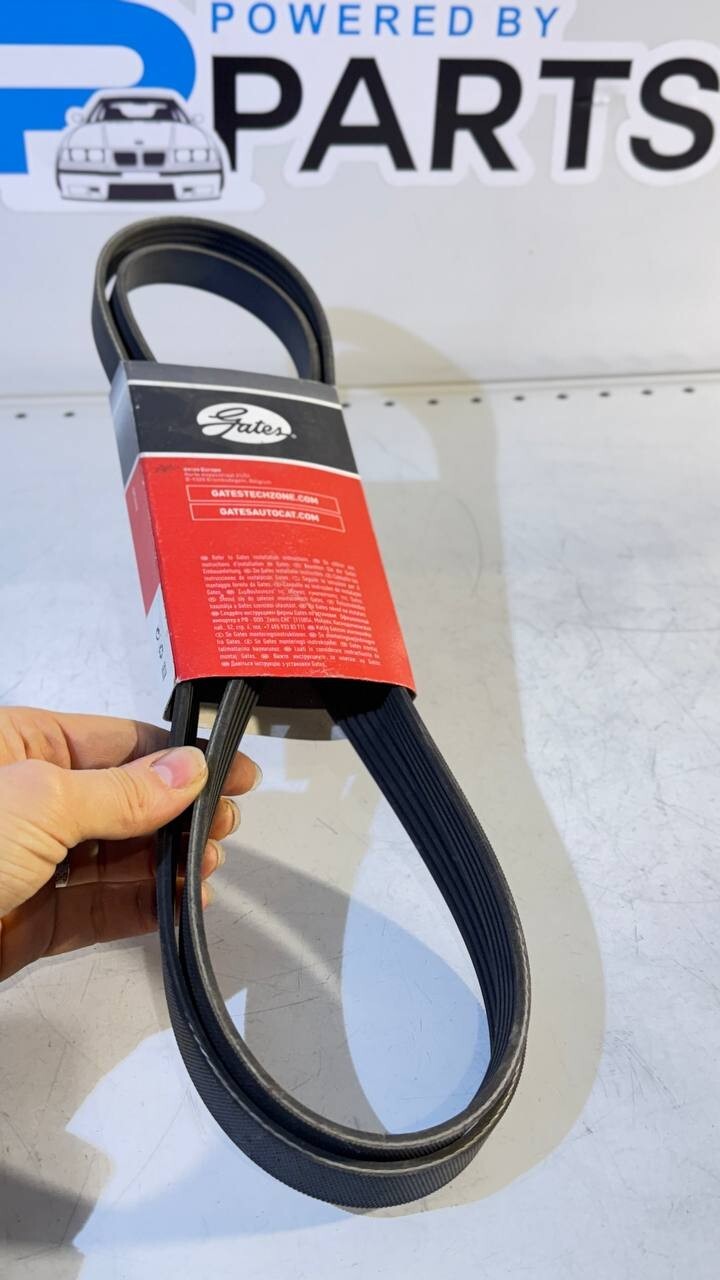 BMW E34, E36, E39 Ribbed V-Belt (Gates) 5PK1815 11282244179