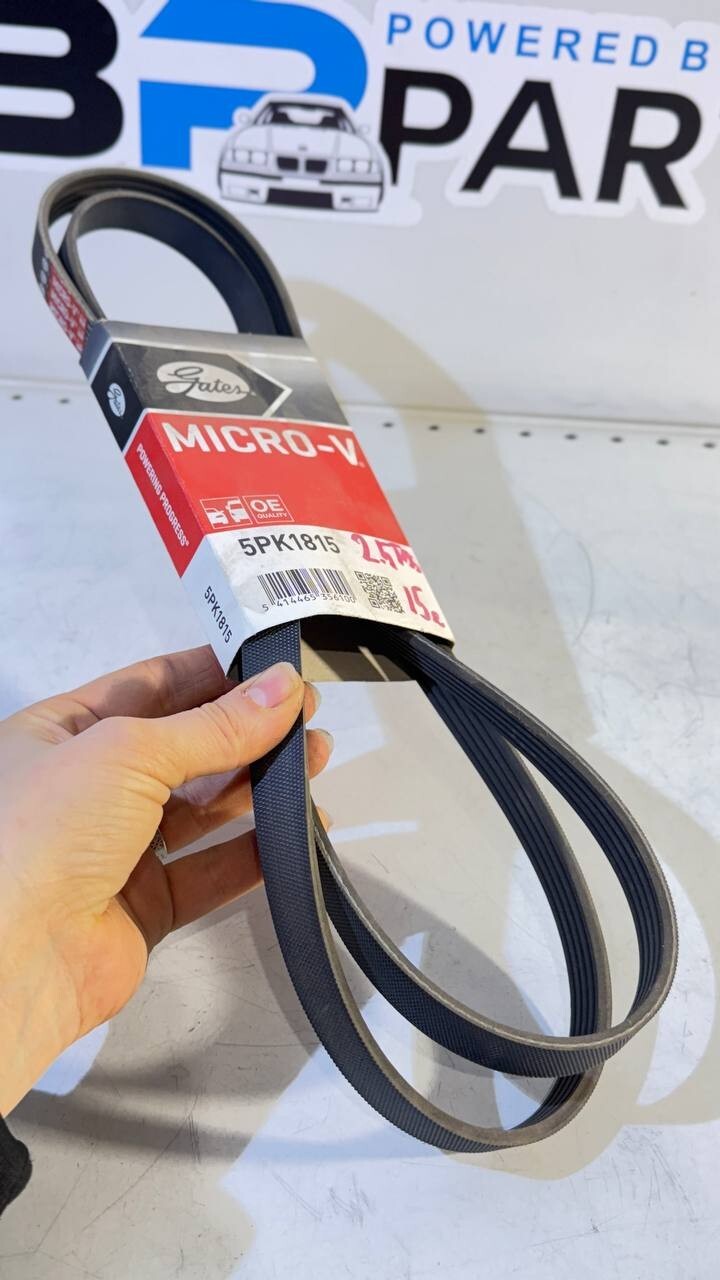 BMW E34, E36, E39 Ribbed V-Belt (Gates) 5PK1815 11282244179