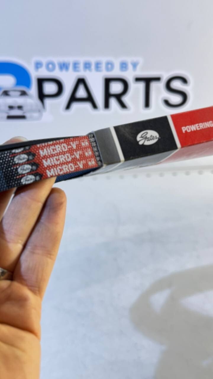 BMW E34, E36, E39 Ribbed V-Belt (Gates) 5PK1815 11282244179