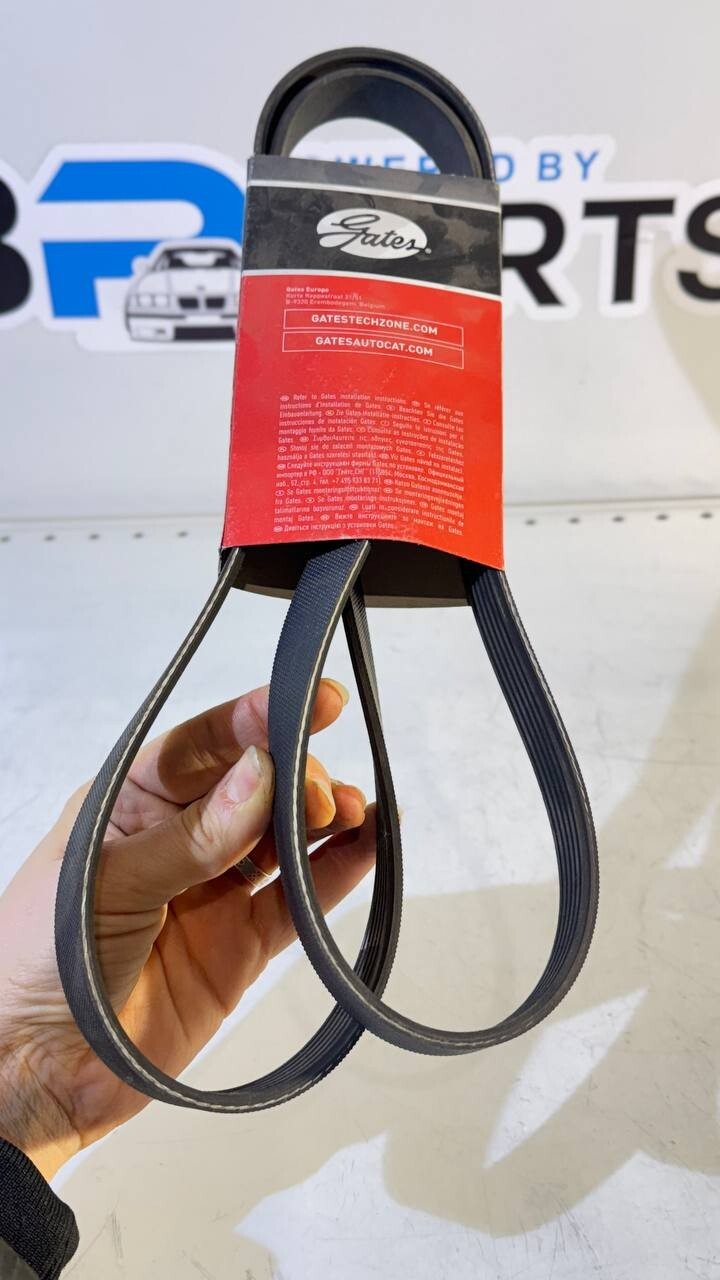 BMW E34, E36, E39 Ribbed V-Belt (Gates) 6PK1555 11281437929