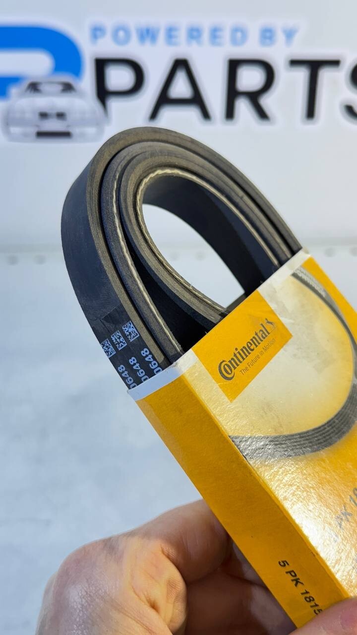 BMW E34, E36, E39 Ribbed V-Belt (Continental) 5PK1815 11282244179