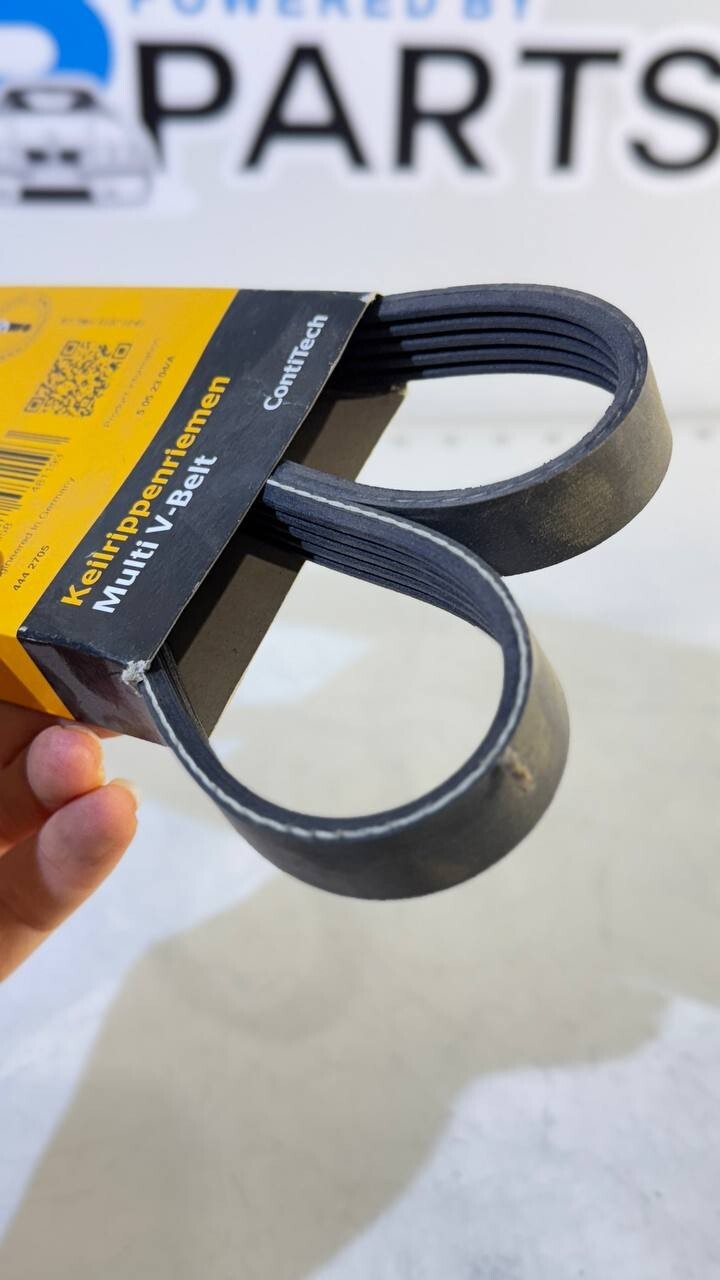 BMW E34, E36, E39 Ribbed V-Belt (Continental) 5PK1815 11282244179