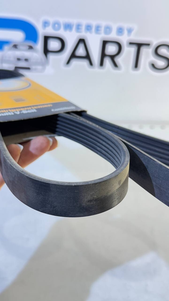 BMW E36, E34 Ribbed V-Belt 6PK1660 Continental 11281247284