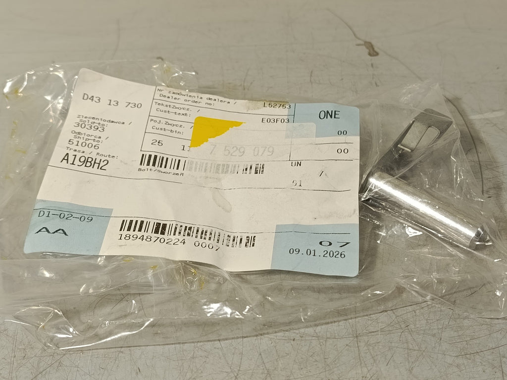BMW Gear shifting Bolt 25117529079