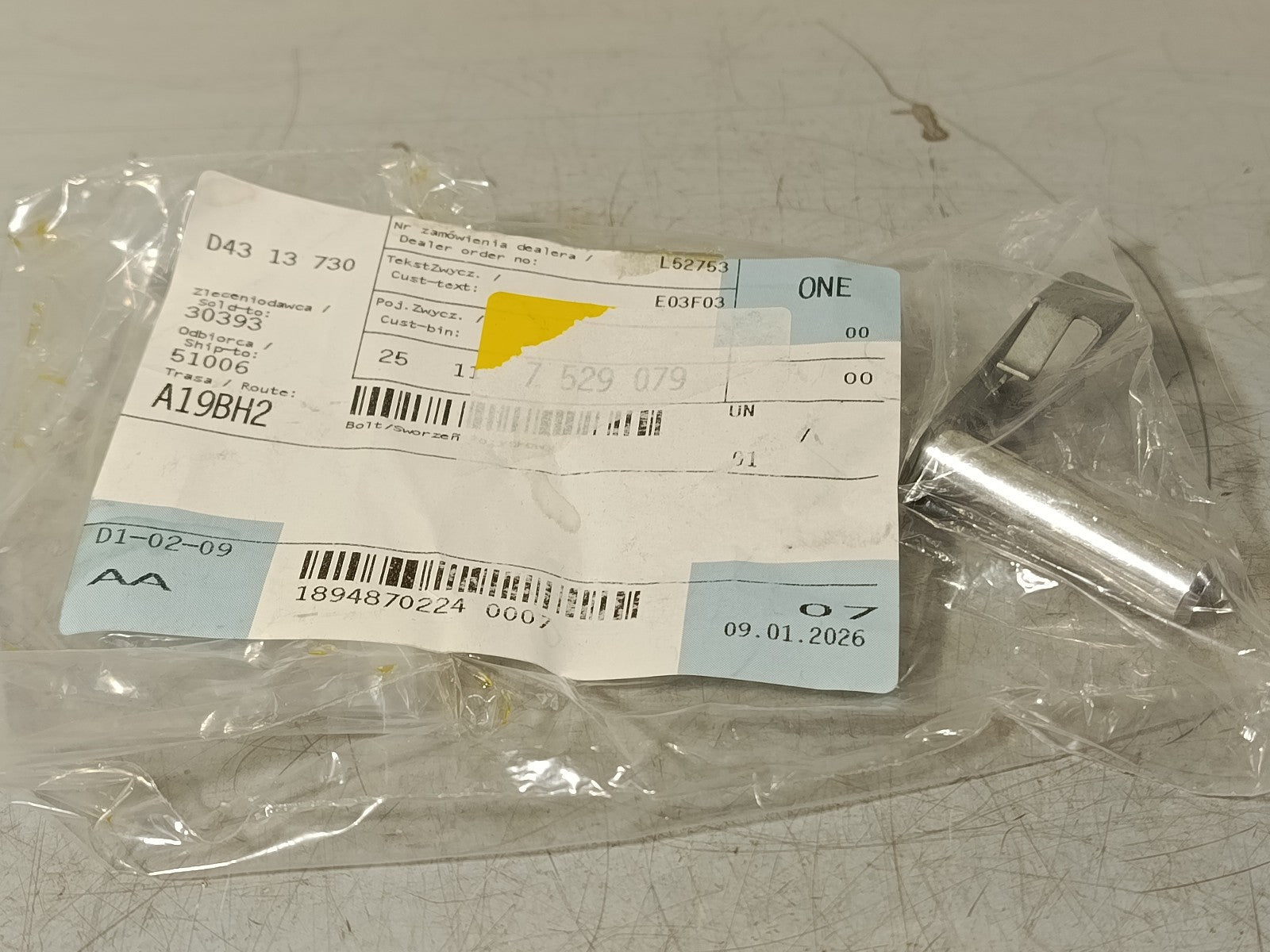 BMW Gear shifting Bolt 25117529079