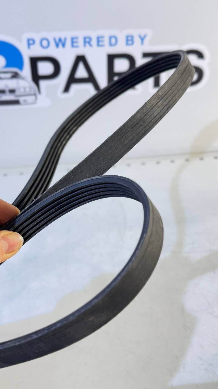 BMW E39, E46 Ribbed V-Belt (Continental) 5PK2030 11282247191