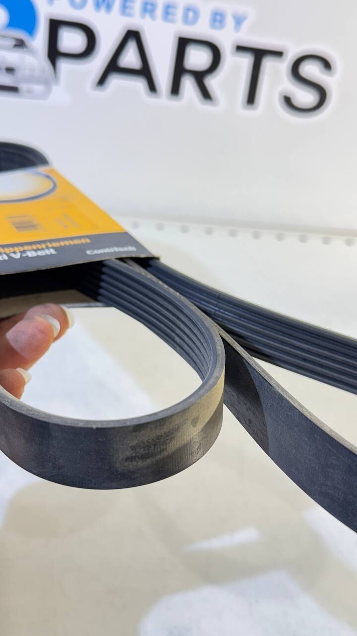 BMW E36, E34 Ribbed V-Belt 6PK1660 Continental 11281247284