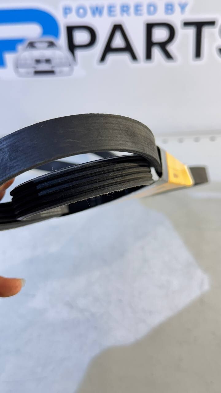 BMW E39, E46 Ribbed V-Belt (Continental) 5PK2030 11282247191